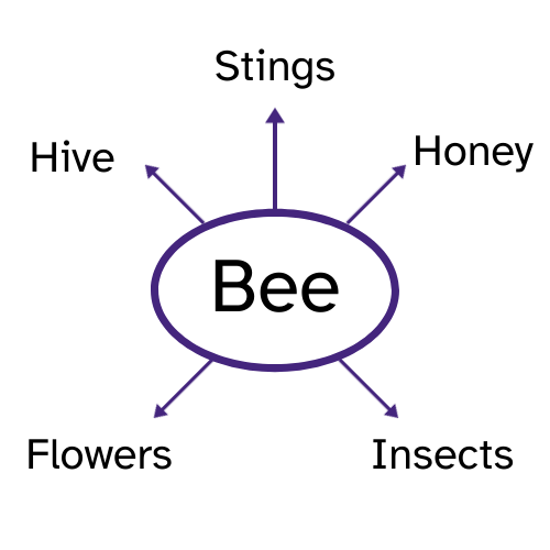 The word bee written in the centre, with 5 arrows pointing outwards towards the words 'hive', 'stings', 'honey', 'flowers', and 'insects'