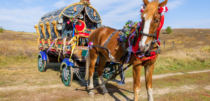 Horse with vardo attached
