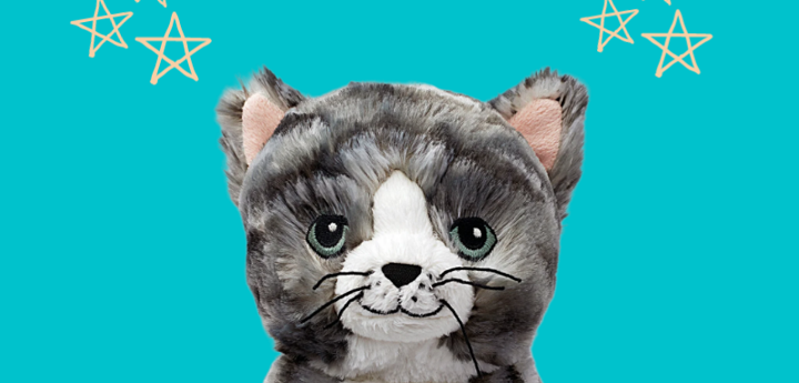 Chattercats cat on blue background with yellow stars