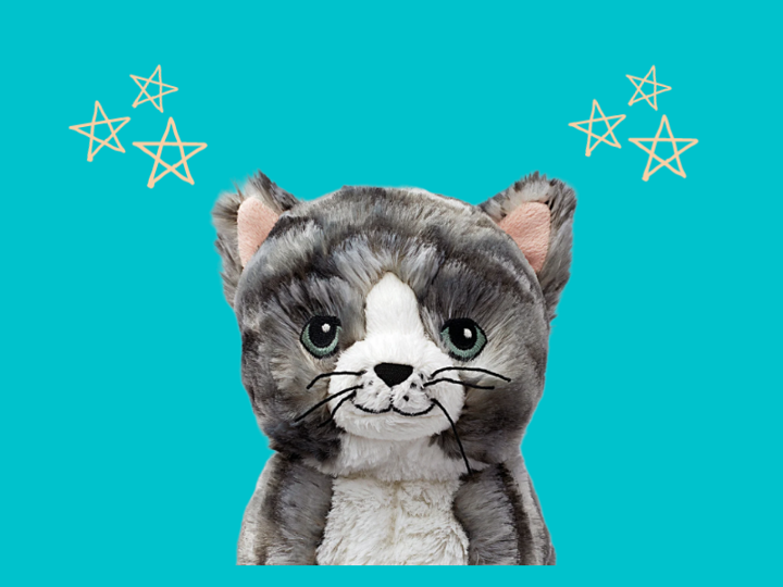 Chattercats cat on blue background with yellow stars