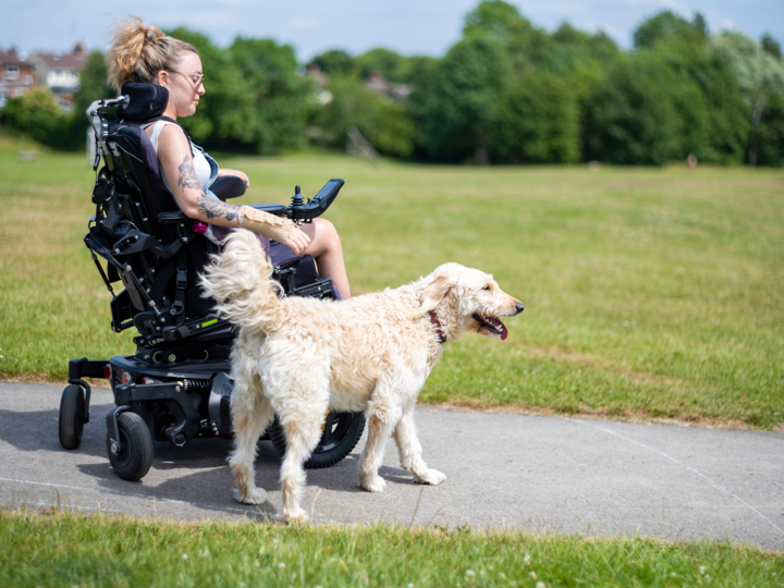 Woman in wheelchair walking with white labradoodle service dog in a park.